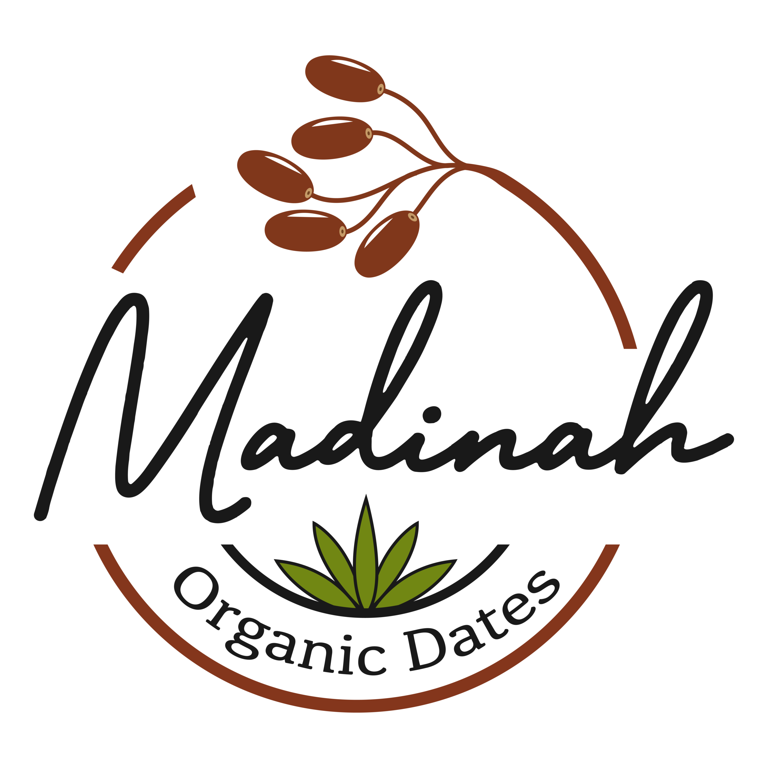 madina organic dates logo