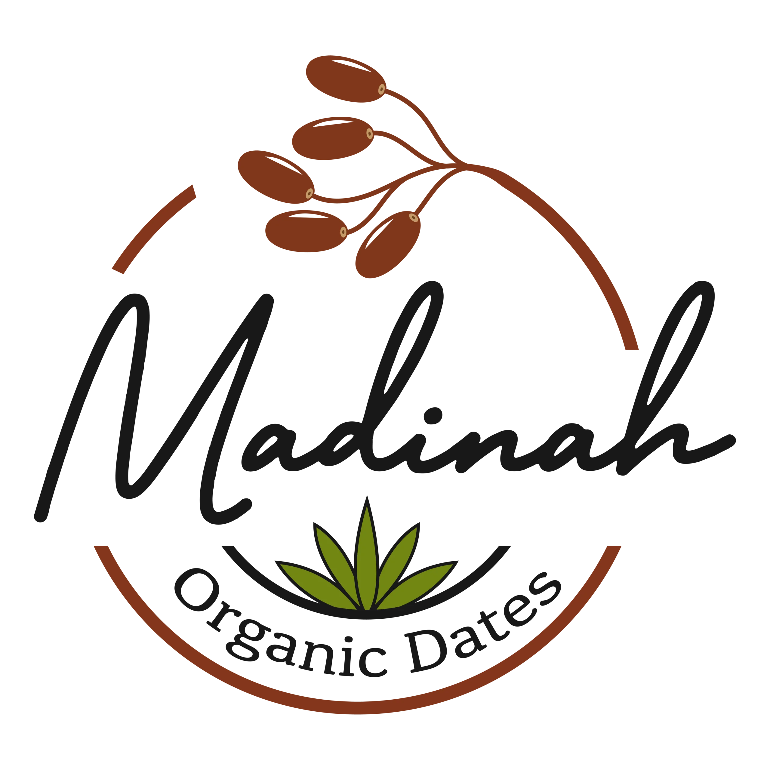 madina organic dates logo